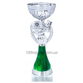 Кубок 25072 футбол