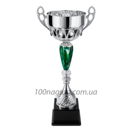 Кубок 250512 
