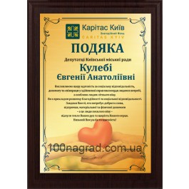 подяка з металевою табличкою HG156 330*265мм