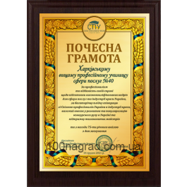 Грамота з металевою табличкою HG152 200*150мм