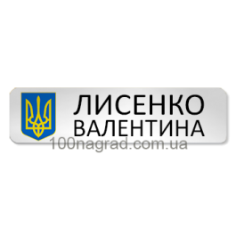 Іменні бейджі металеві 65*15мм S