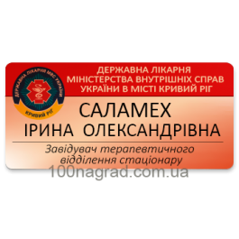 Бейджи металеві на магніті 75*38мм B