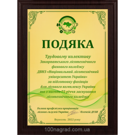 Подяка на металі плакетка