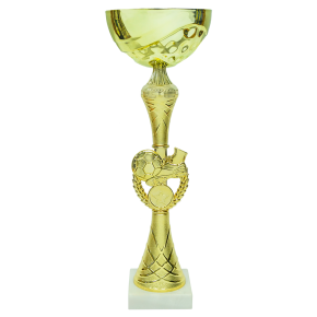 Кубок 008 Футбол